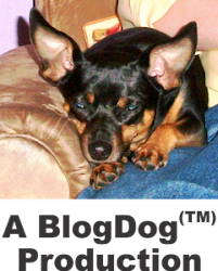 BlogDog