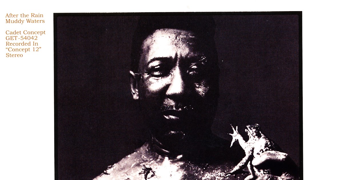 WORLD OF HARMONICA Muddy Waters After The Rain