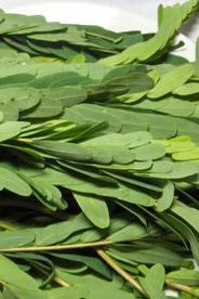 Agathi Keerai is green vegetable. Good for health