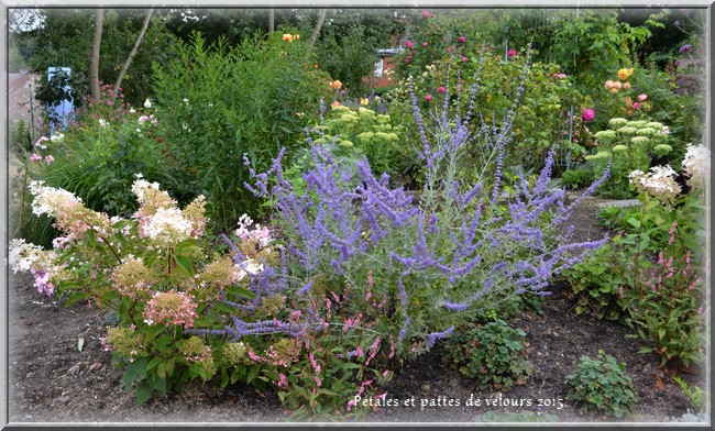 Winter Blooms In The Rainy Day Garden