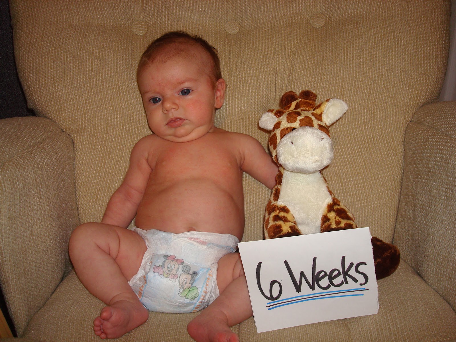 Bullets and Bandaids Diaper Notes