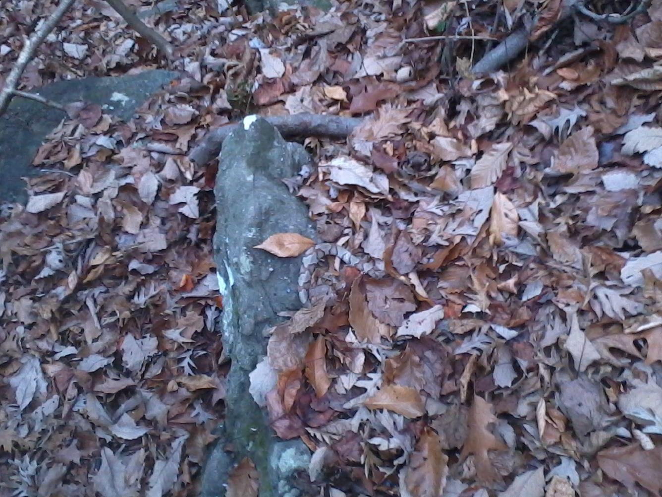 Robin's Bouldering Page Copperheads at Northwest Branch