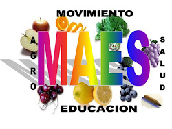 Logo MAES