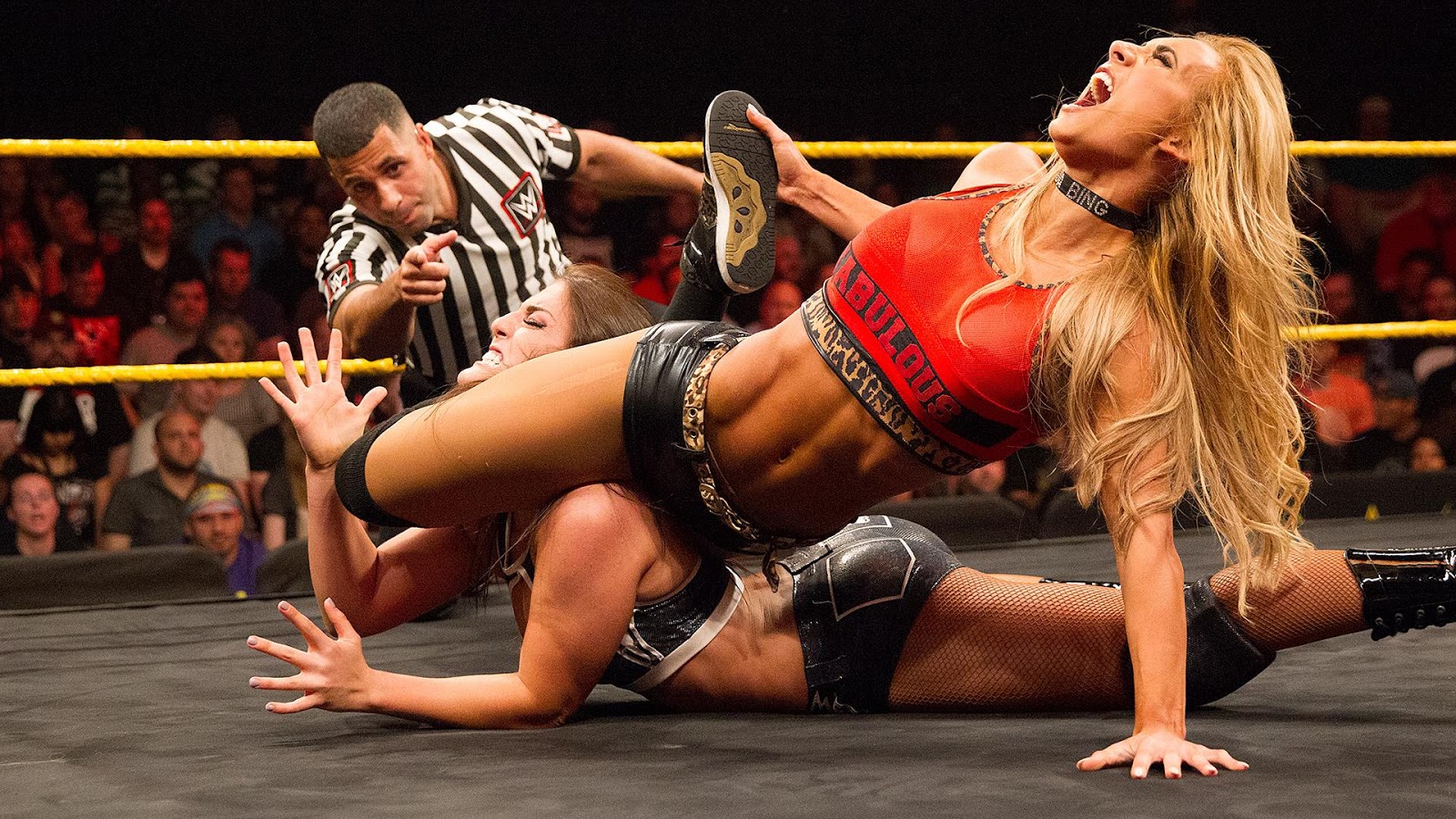 Women wrestling destroyed