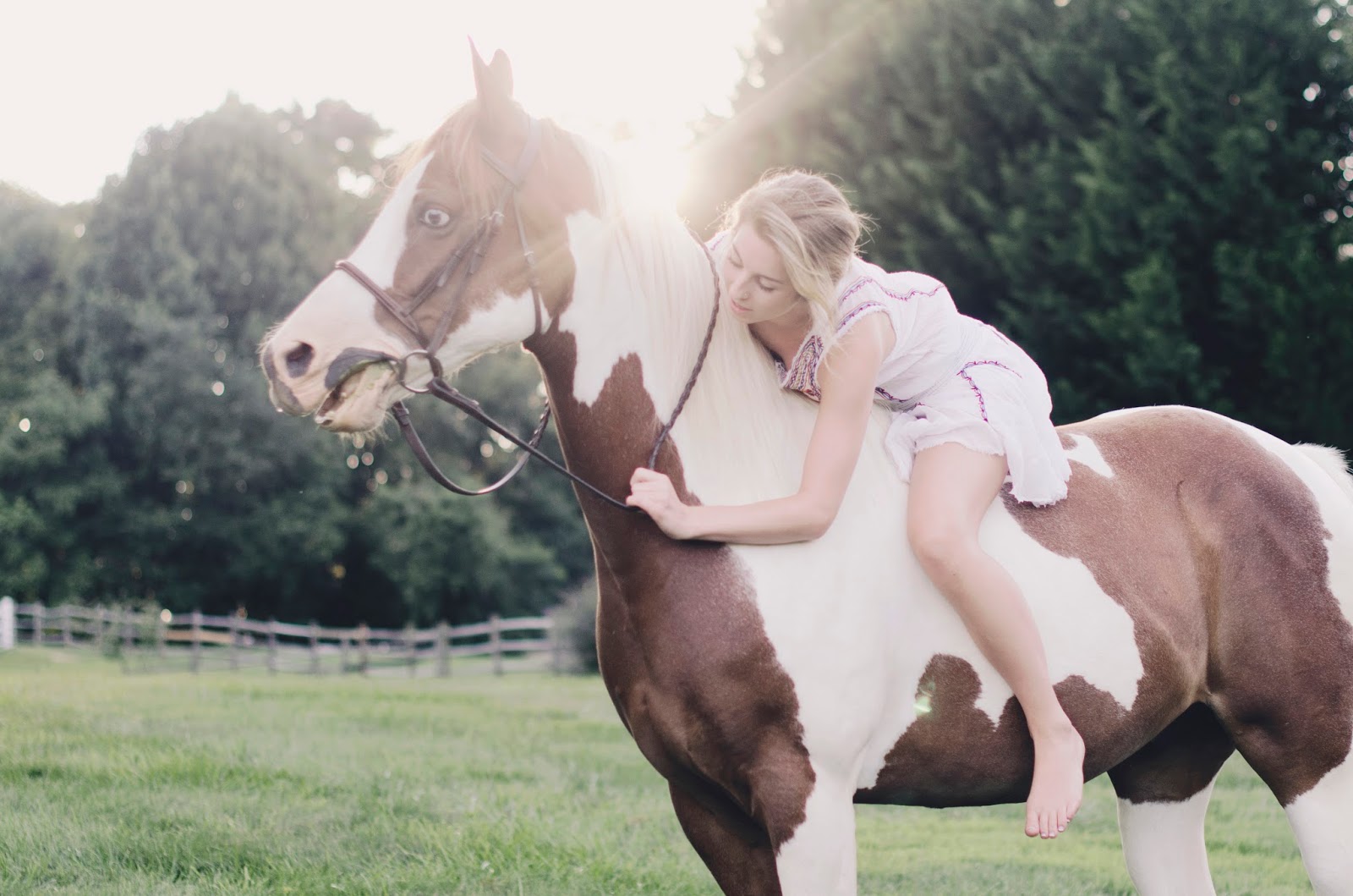 Foto bij girl with horse