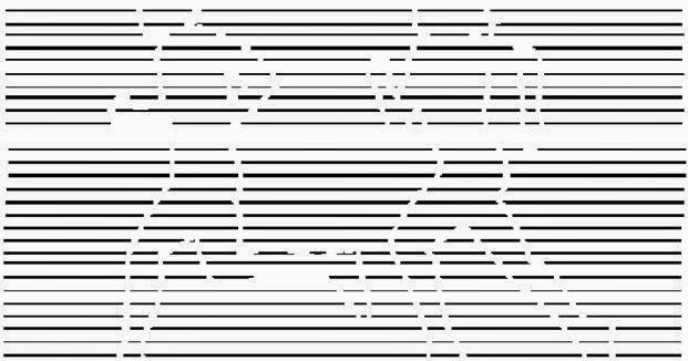 Free Will Or Fatalism?