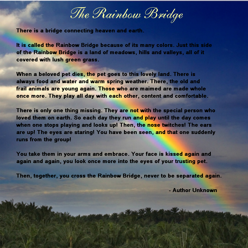 rainbow bridge rainbow bridge