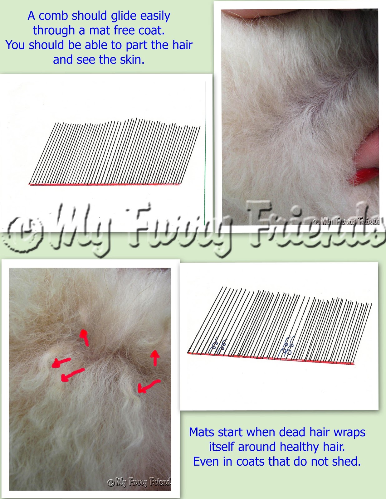 Dog Grooming Hair Length Sample Chart