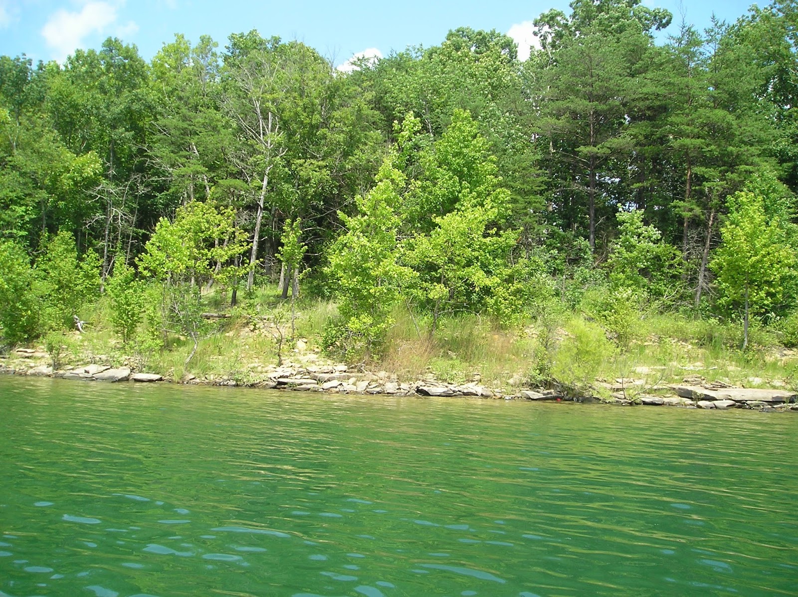 Glamorous Addiction Our Trip to Cave Run Lake in KY Includes Photos