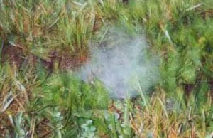 http://coba-liat.blogspot.com/