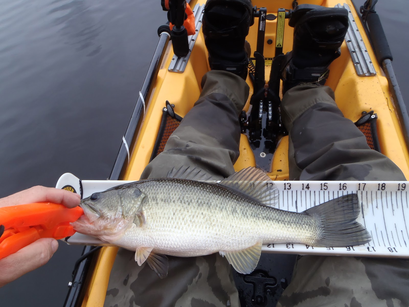 Definition Of Throwing Kitchen Sink at Virginia Martinez blog