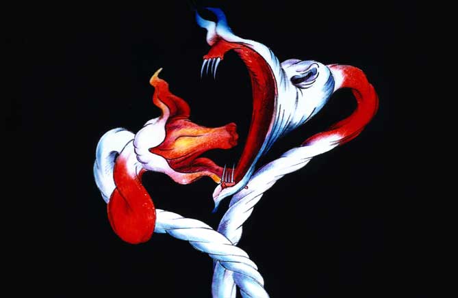 LA PELICULA THE WALL DE PINK FLOYD la pelicula the wall de pink floyd: