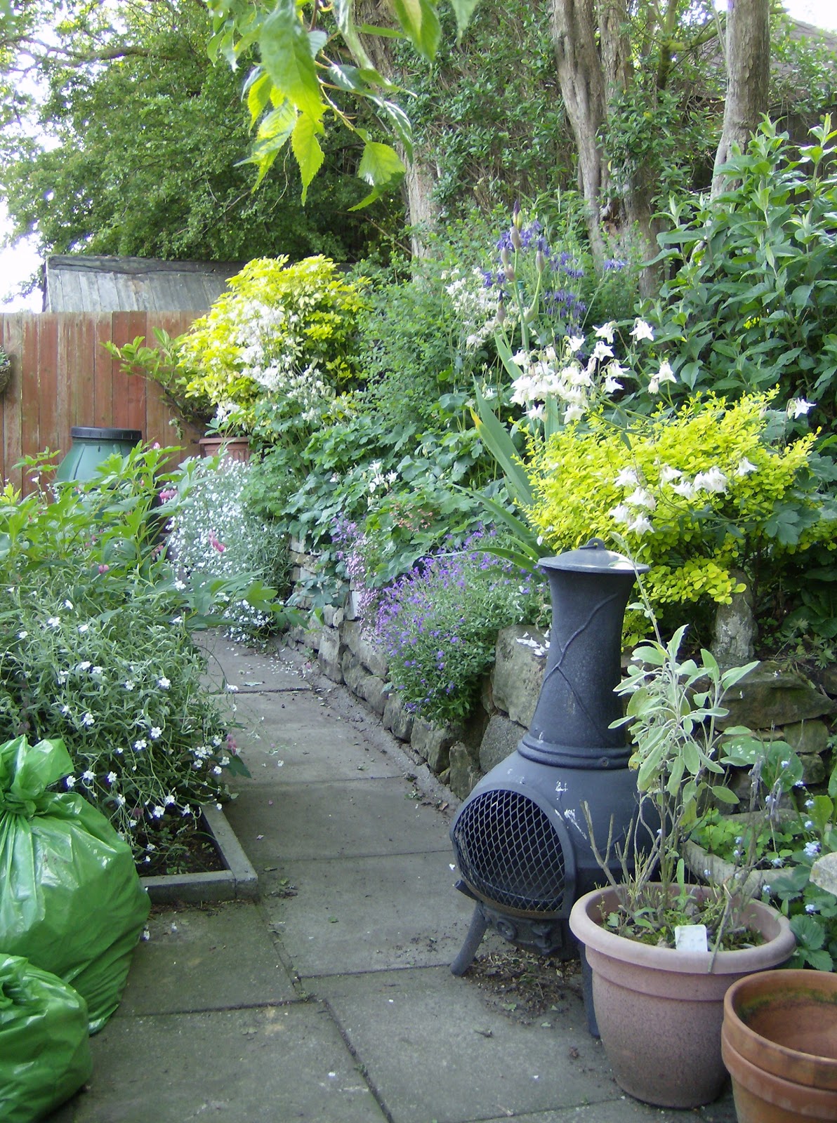 Love My Garden Planting in The Woodland Border