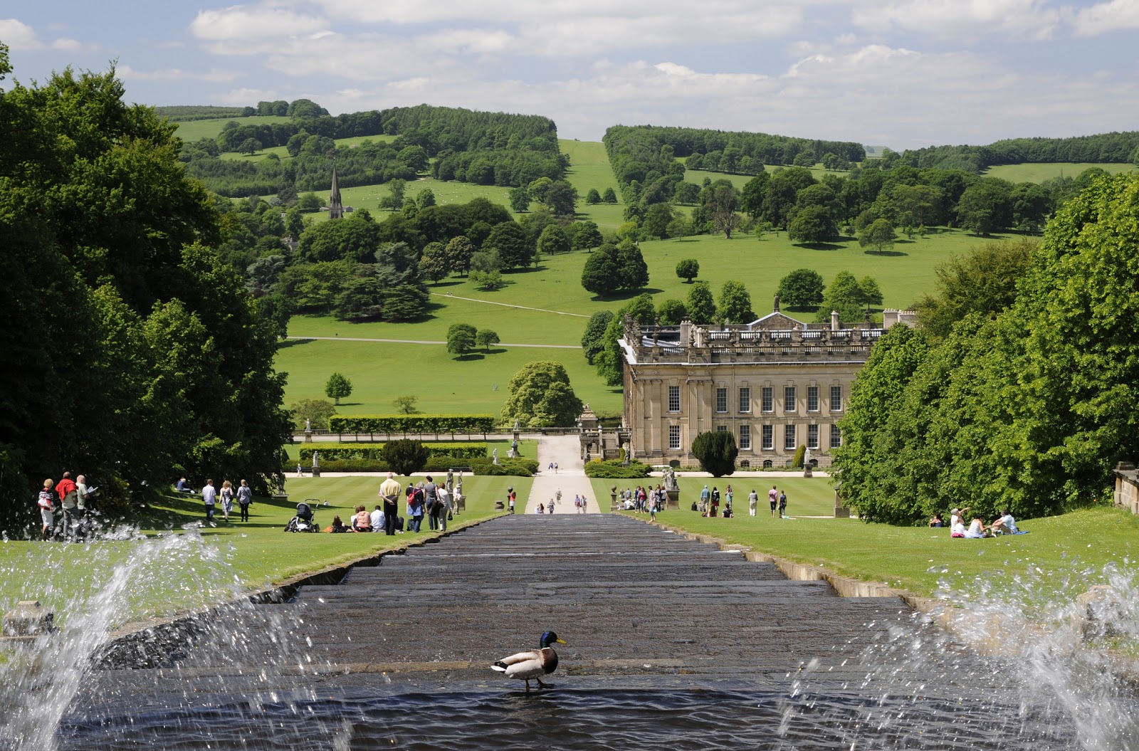 Treasure Houses of England Chatsworth Takes Inspiration from Plant