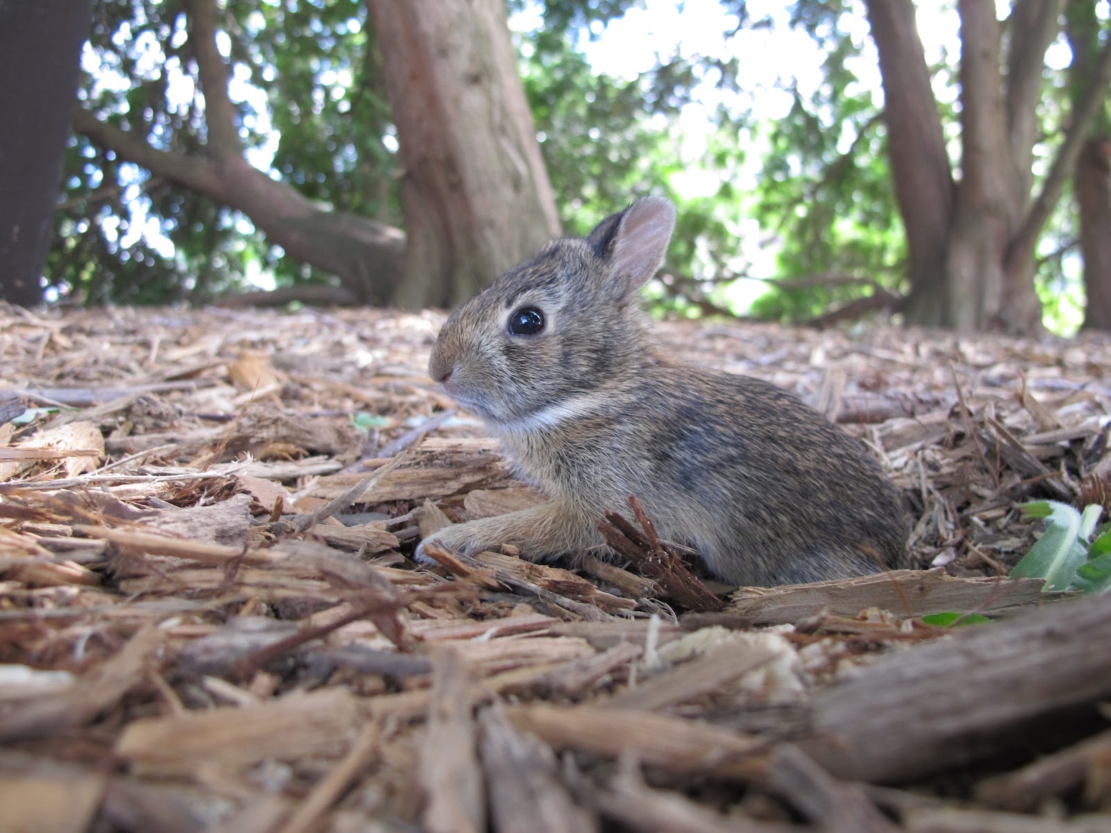 The Stephen Clan: August 2012