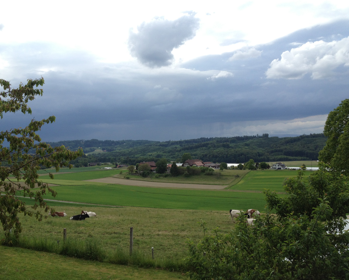 Ursula Gosteli S Go Web Blog Juni 2013