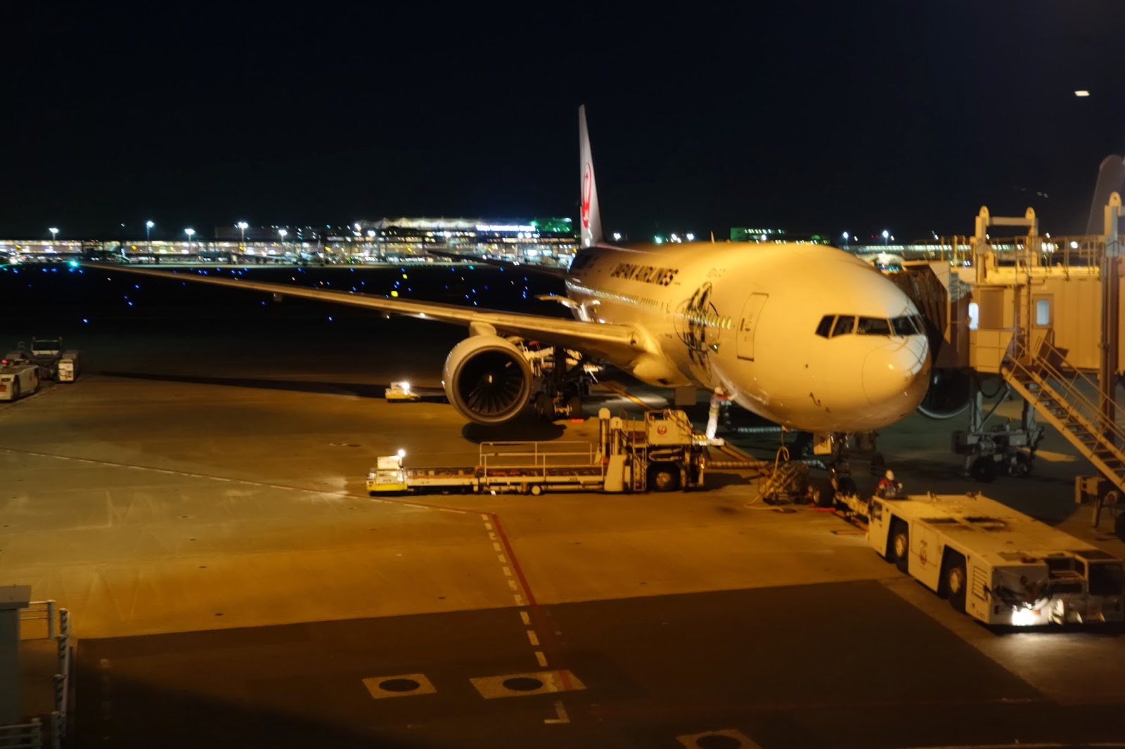 東京から天草エアラインの パラダイス運賃8レグ を日帰りでやってみたpart1 東京から第1レグまで Help Point