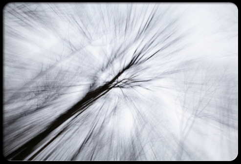Pictures Slideshow: Vertigo, Migraines, Motion Sickness and More Pictures Slideshow: Vertigo, Migraines, Motion Sickness and More