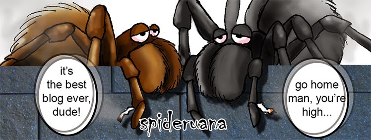 Spideruana