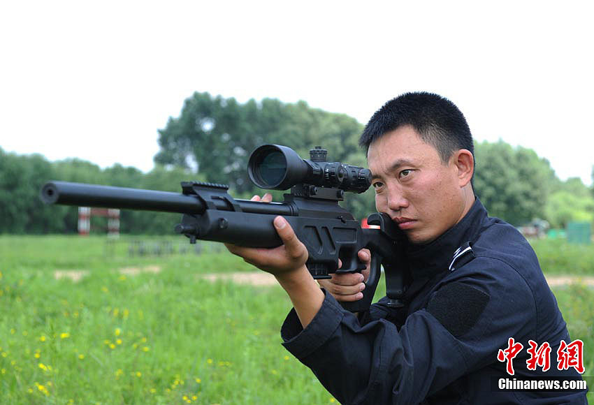 CS/LR4 high precision sniper rifle. 