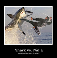 Shark+vs+Ninja.jpg