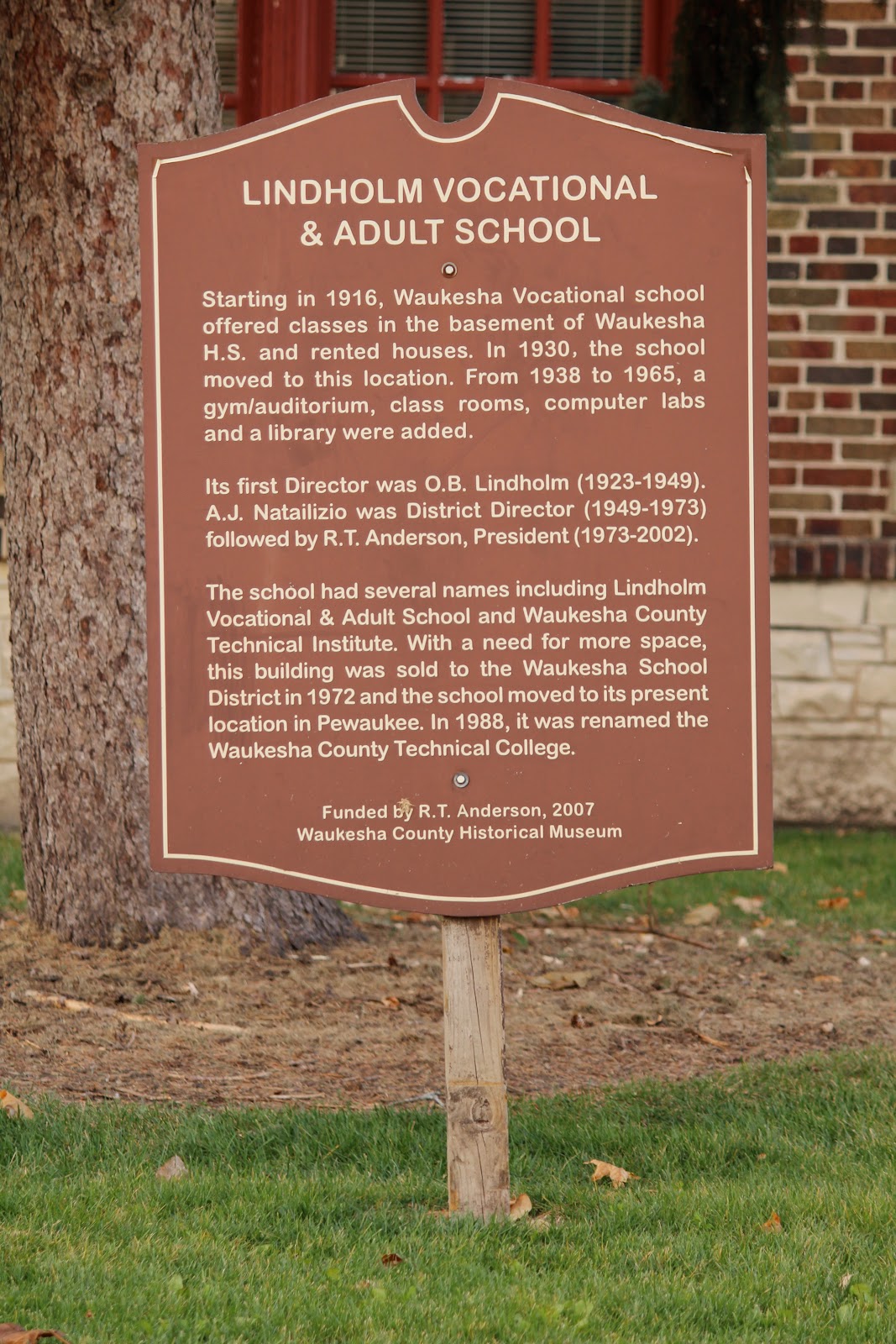 read Eyewitness Travel