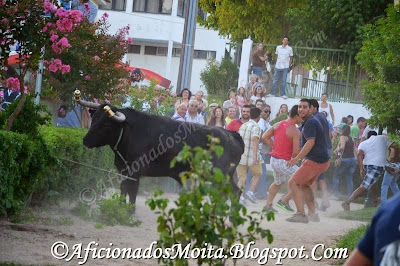 https://picasaweb.google.com/112628067891720623695/CorucheFestasNSrCasteloTouradaACordaReportagemFotografica18h00160813#slideshow/5953702510220796962