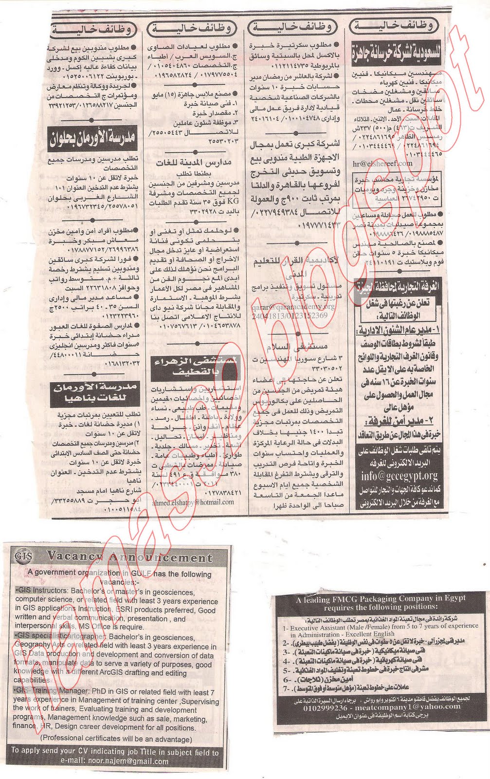 وظائف اهرام الجمعة 10 يونيو 2011 - الجزء الثانى Picture+008