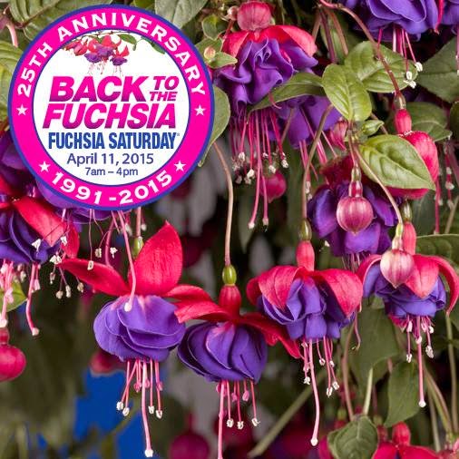 Happy Clean Living Fred Meyer Geranium Sale and Planting Seeds