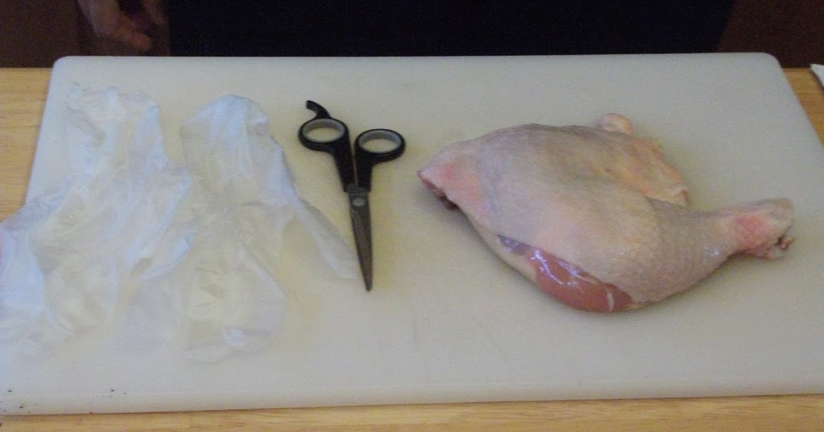 Biology Chicken Leg Dissection Lab