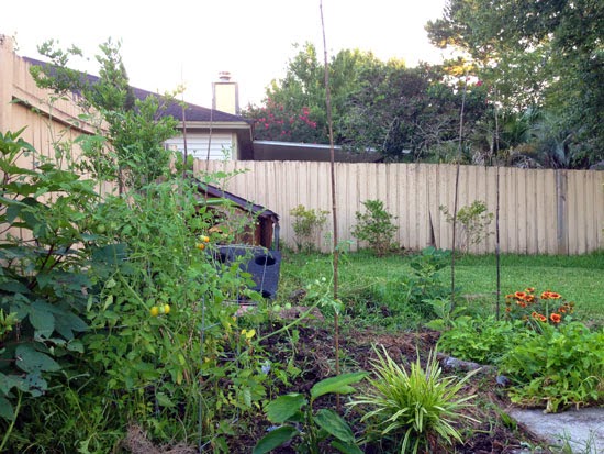 Planting Ideas Garden Design