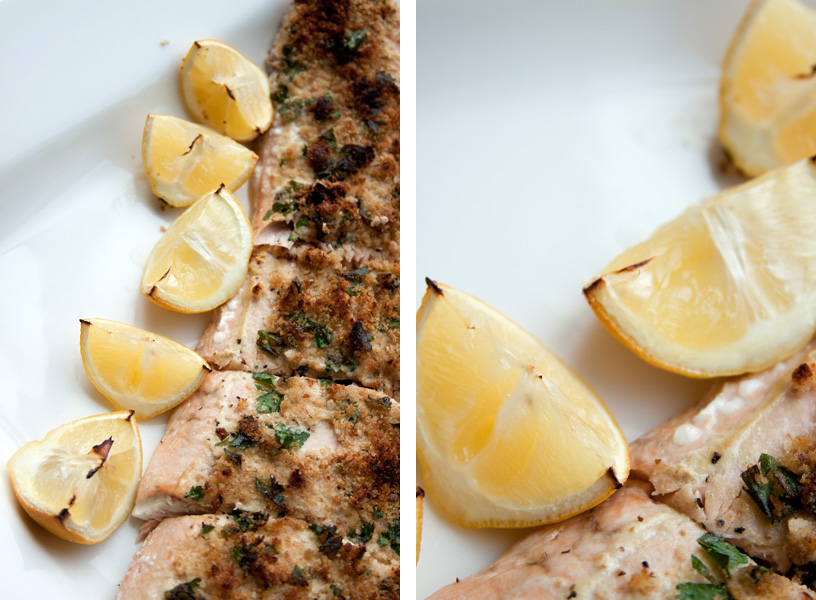 jackie norris lemon herb crusted salmon