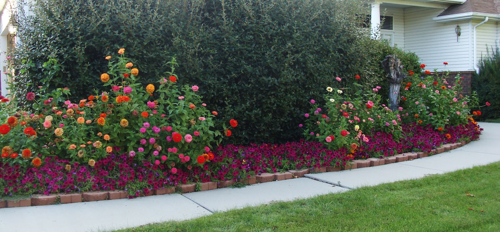 Urth Picture Post: Late Summer in the Garden
