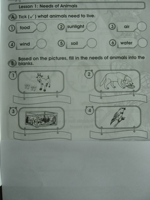 SCIENCE YEAR 2: Worksheets