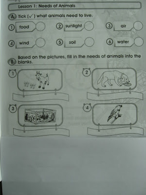 SCIENCE YEAR 2: Worksheets