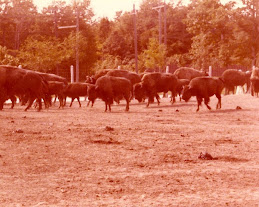 Ontario in Kanada 1978