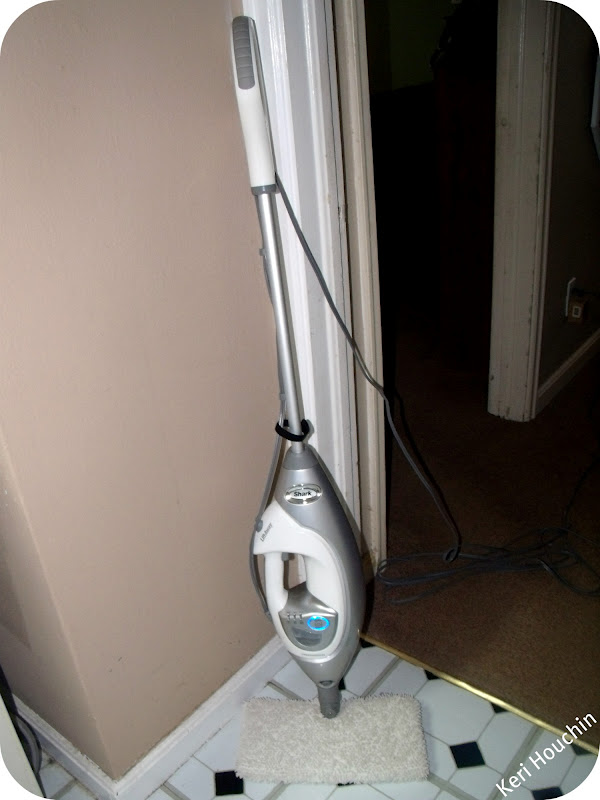 {Review} Shark Lift Away Professional Steam Pocket Mop