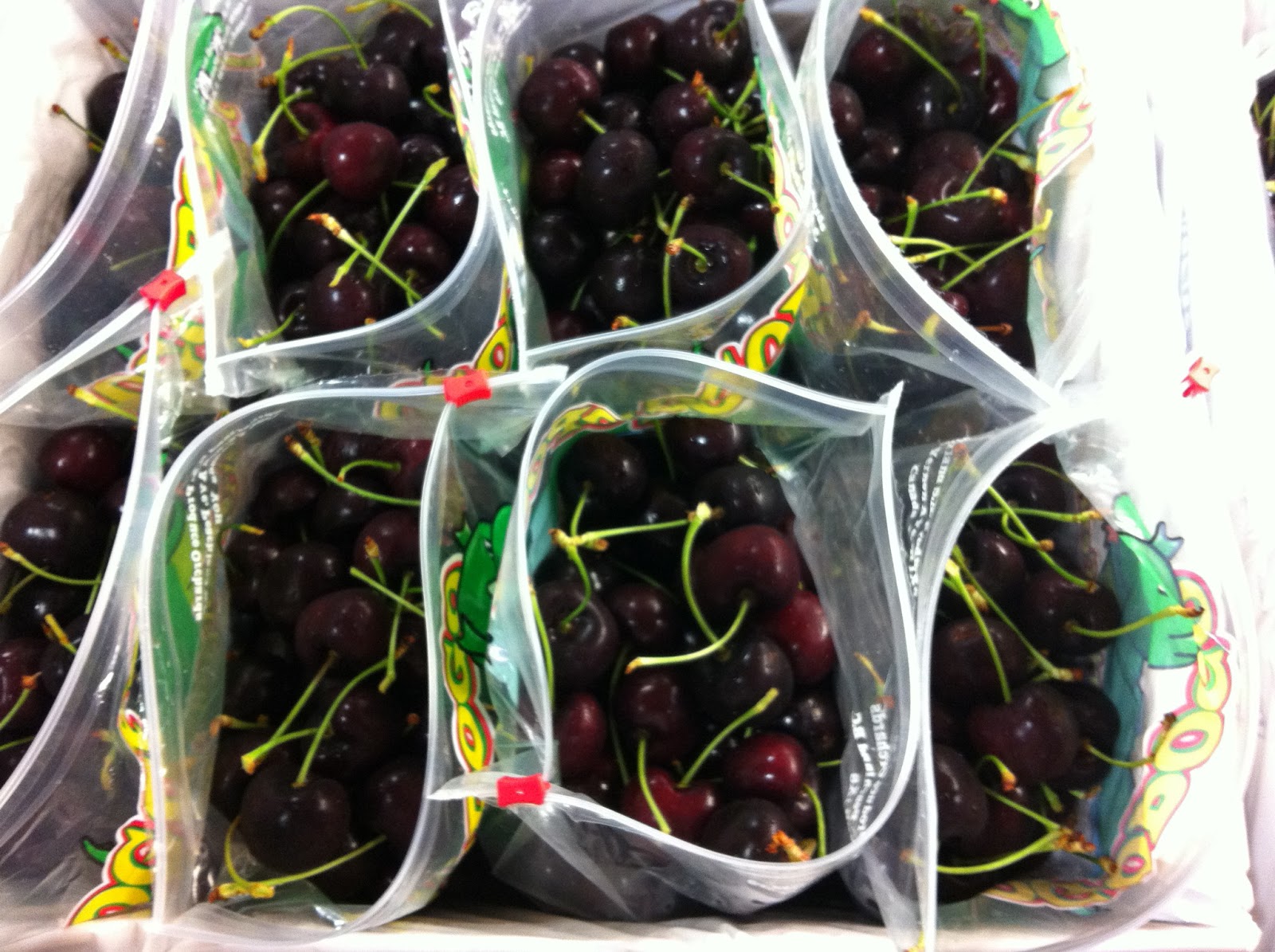 Produce Clerk The Produce Clerks Handbook by RICK CHONG