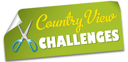 Country view challenge