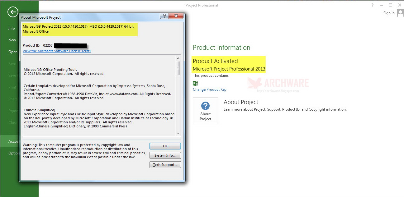 microsoft office 2010 professional product key 32 bit