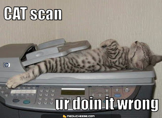 cat-scan-ur-doin-it-wrong.jpg