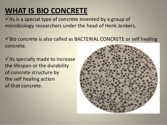 Bacterial Concrete Ppt Free