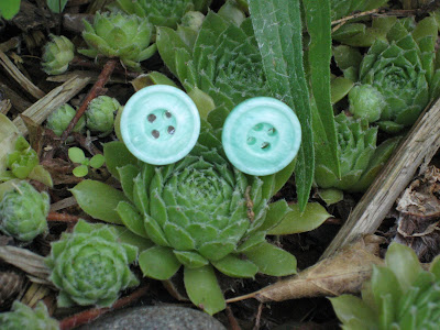 Growing Steady July 2012