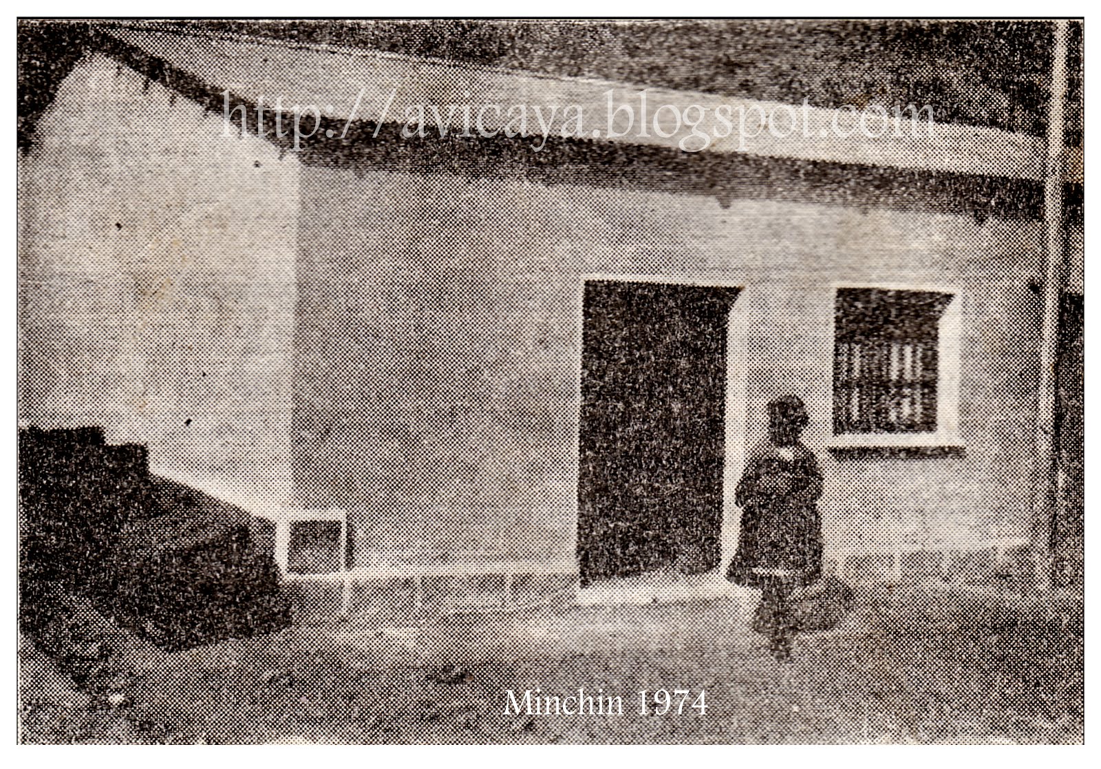 Minchin 1974