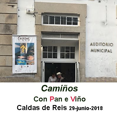 Caldas de Reis