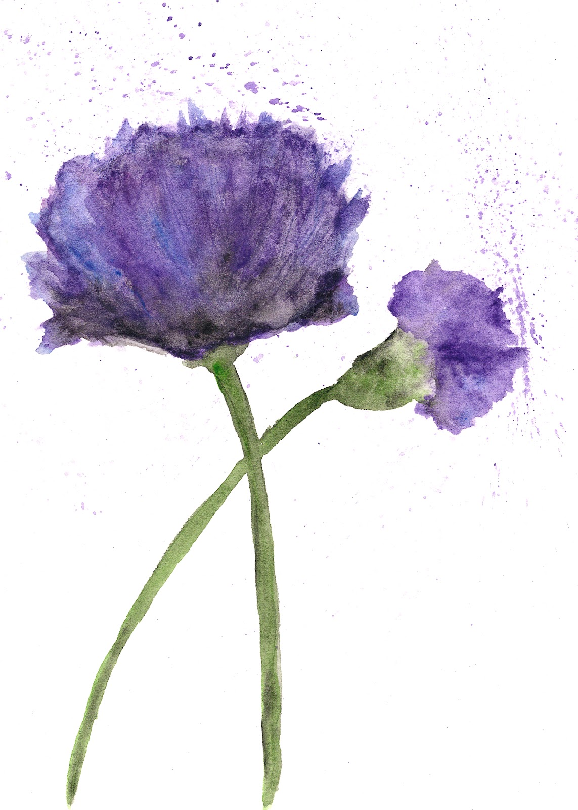 Thimble Sparrow Watercolor purple poppies!