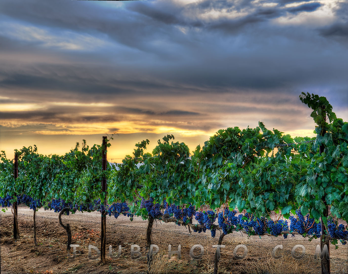 Temecula Wine Country