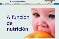 http://www.edu.xunta.es/espazoAbalar/sites/espazoAbalar/files/datos/1363076643/contido/nutricion_nutrition/funcion_nutricion_4.html