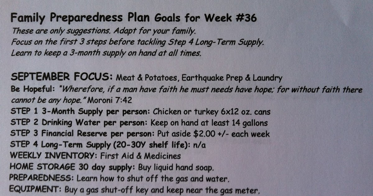 Prepared LDS Family Sample Printable Family Preparedness Plan for LDS