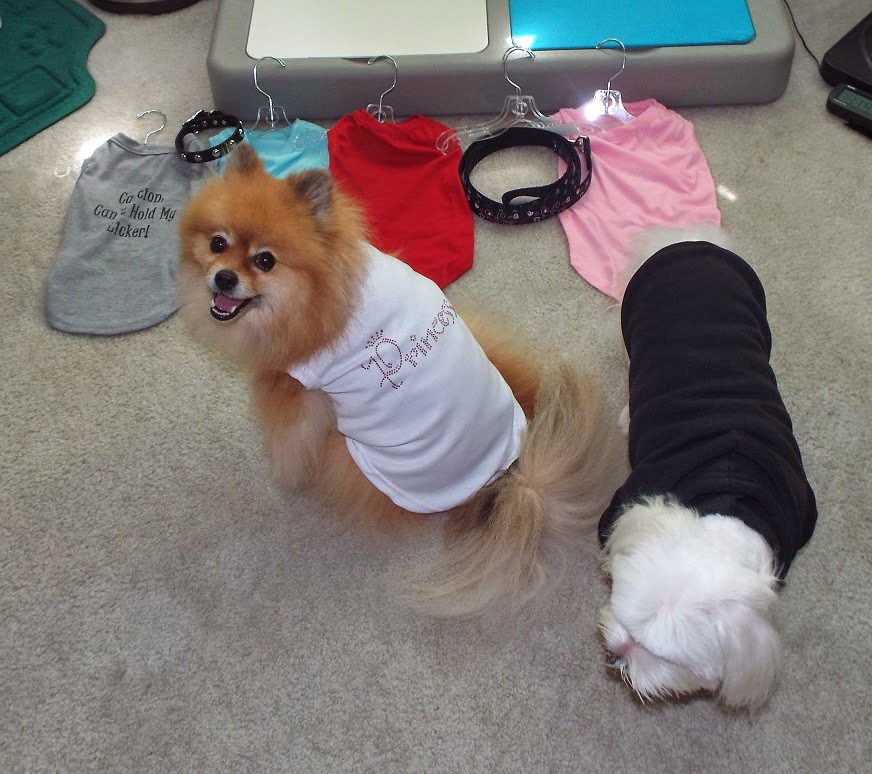 accessorize dog jumper